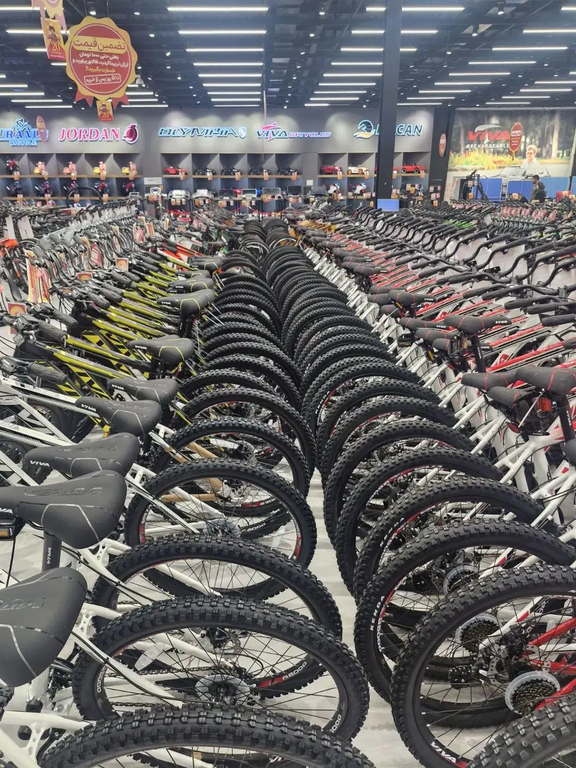 دوچرخه بصورت مستقیم و بدون واسطه از کارخانه|دوچرخه، اسکیت، اسکوتر|کرج, کیانمهر|دیوار