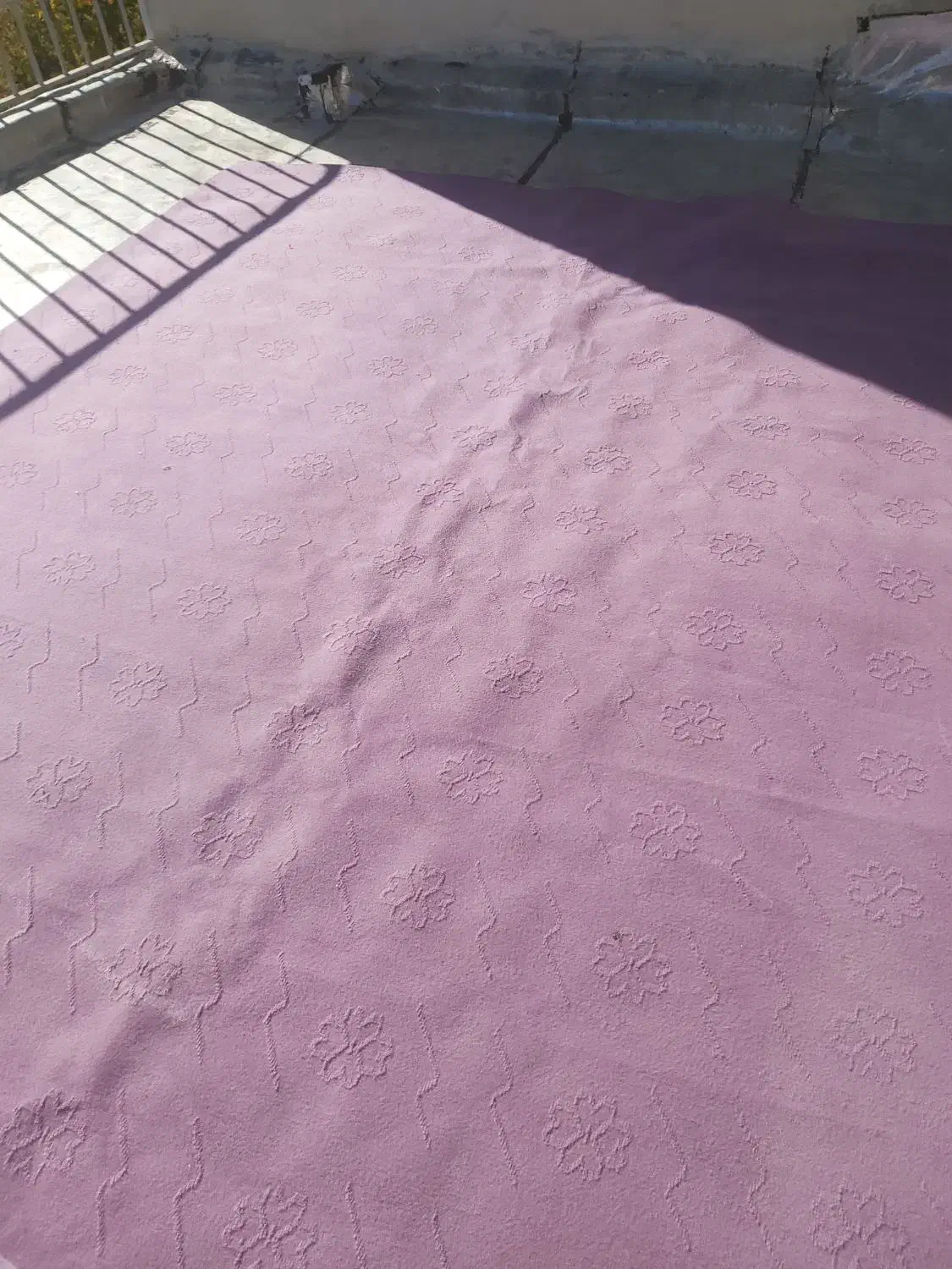 موکت|موکت|سنندج, |دیوار