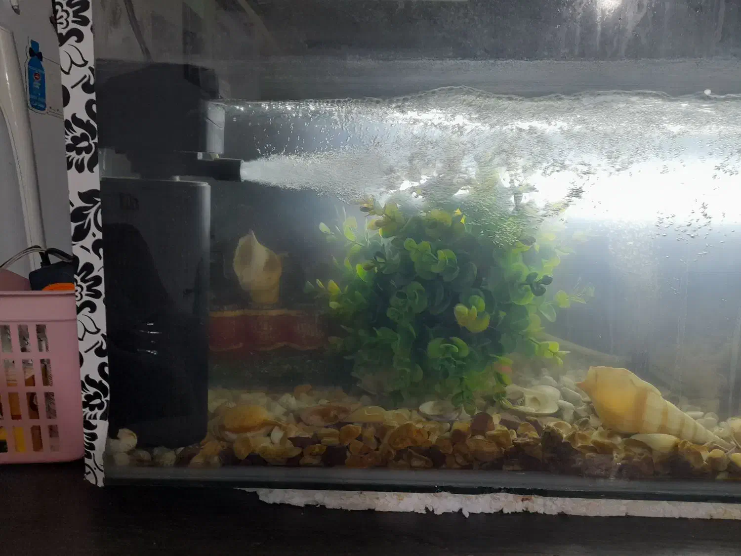 اکواریوم|لوازم جانبی حیوانات|شیراز, کوشک میدان|دیوار