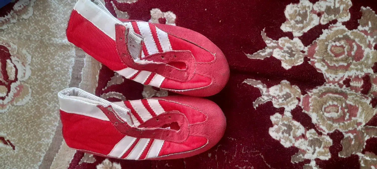 کفش در حد نو|کیف، کفش، کمربند|شیراز, محراب|دیوار