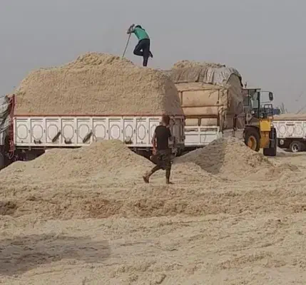 کاه نیشکر|حیوانات مزرعه|شاهین‌شهر, گزبرخوار|دیوار