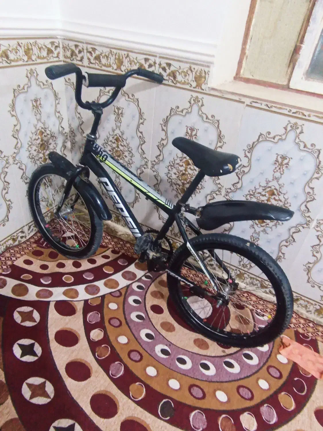 دوچرخه|دوچرخه، اسکیت، اسکوتر|هیرمند, |دیوار