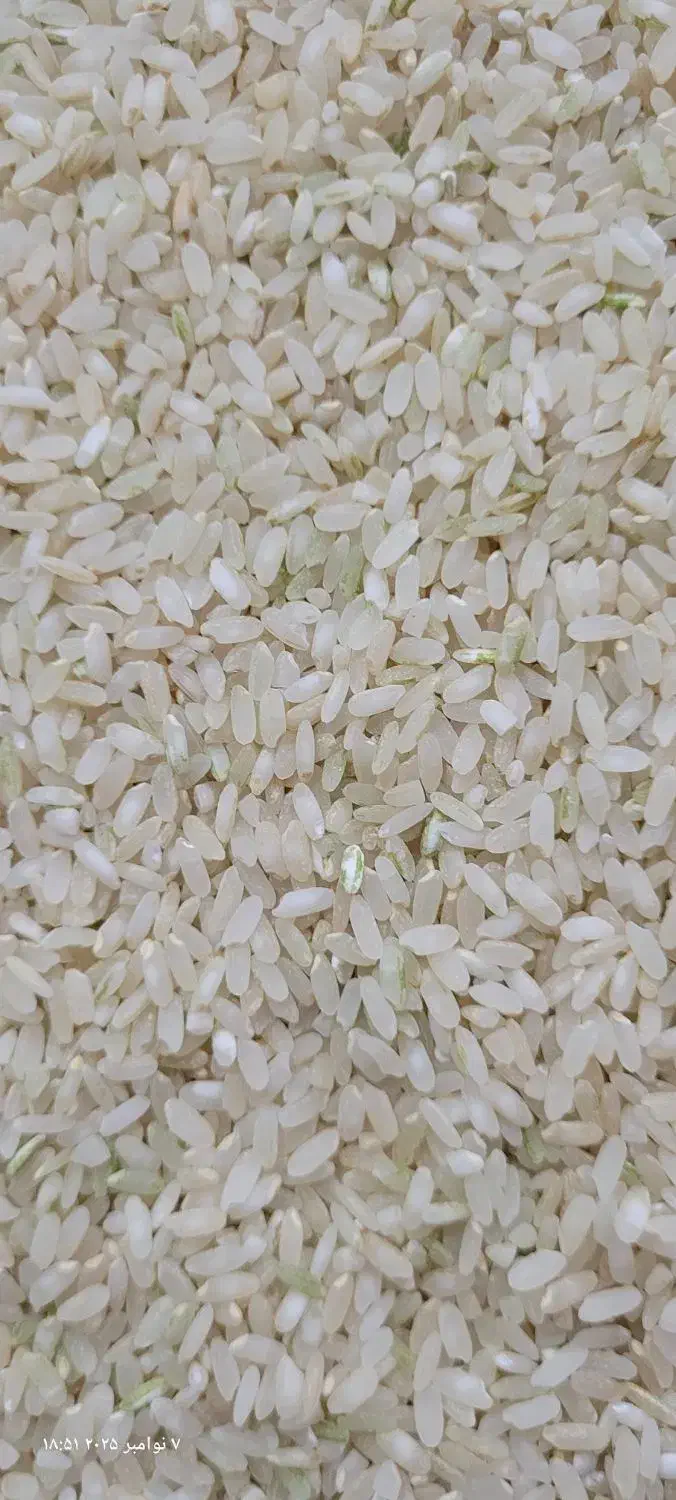 برنج چمپا درجه یک|خوردنی و آشامیدنی|خانمیرزا, |دیوار