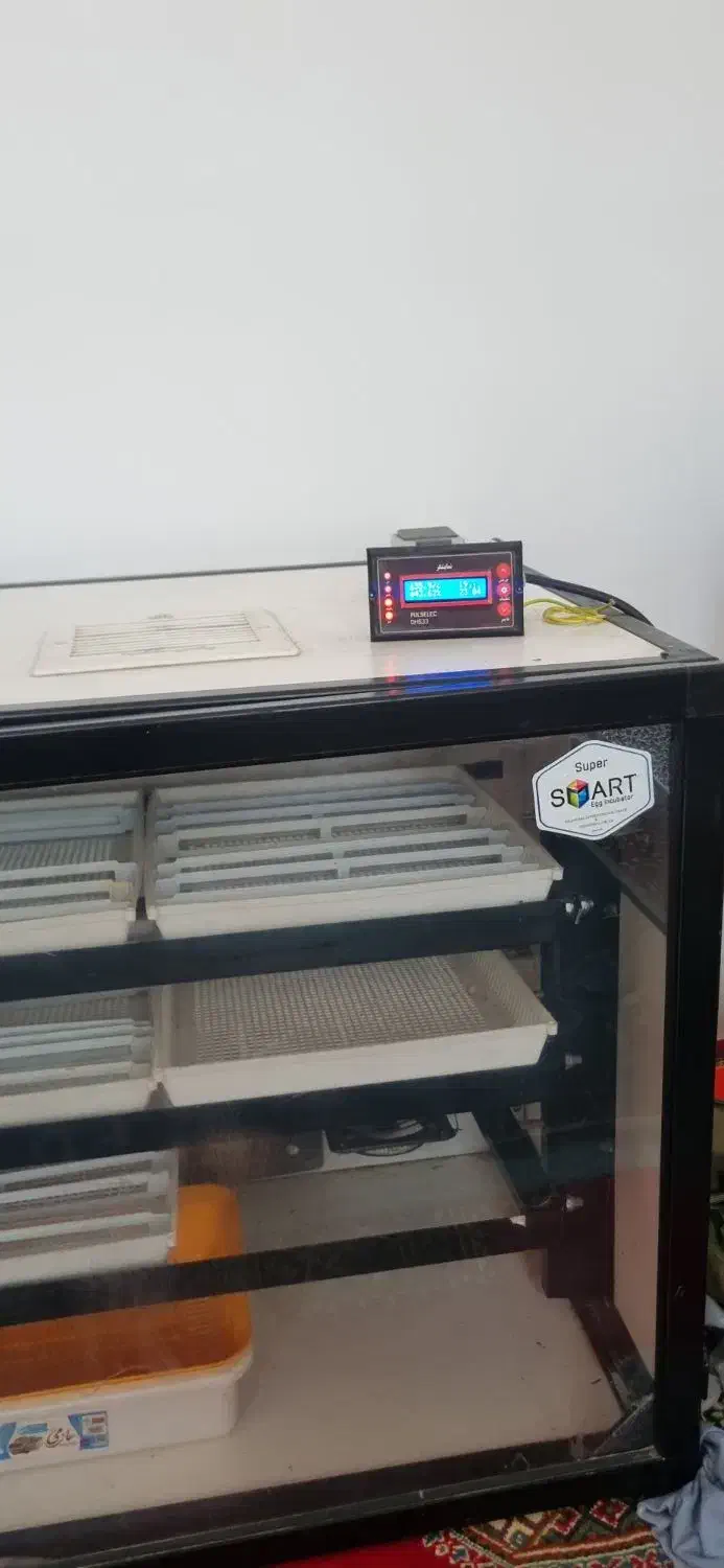 دستگاه جوجه کشی اسکندری|لوازم جانبی حیوانات|کردکوی, |دیوار