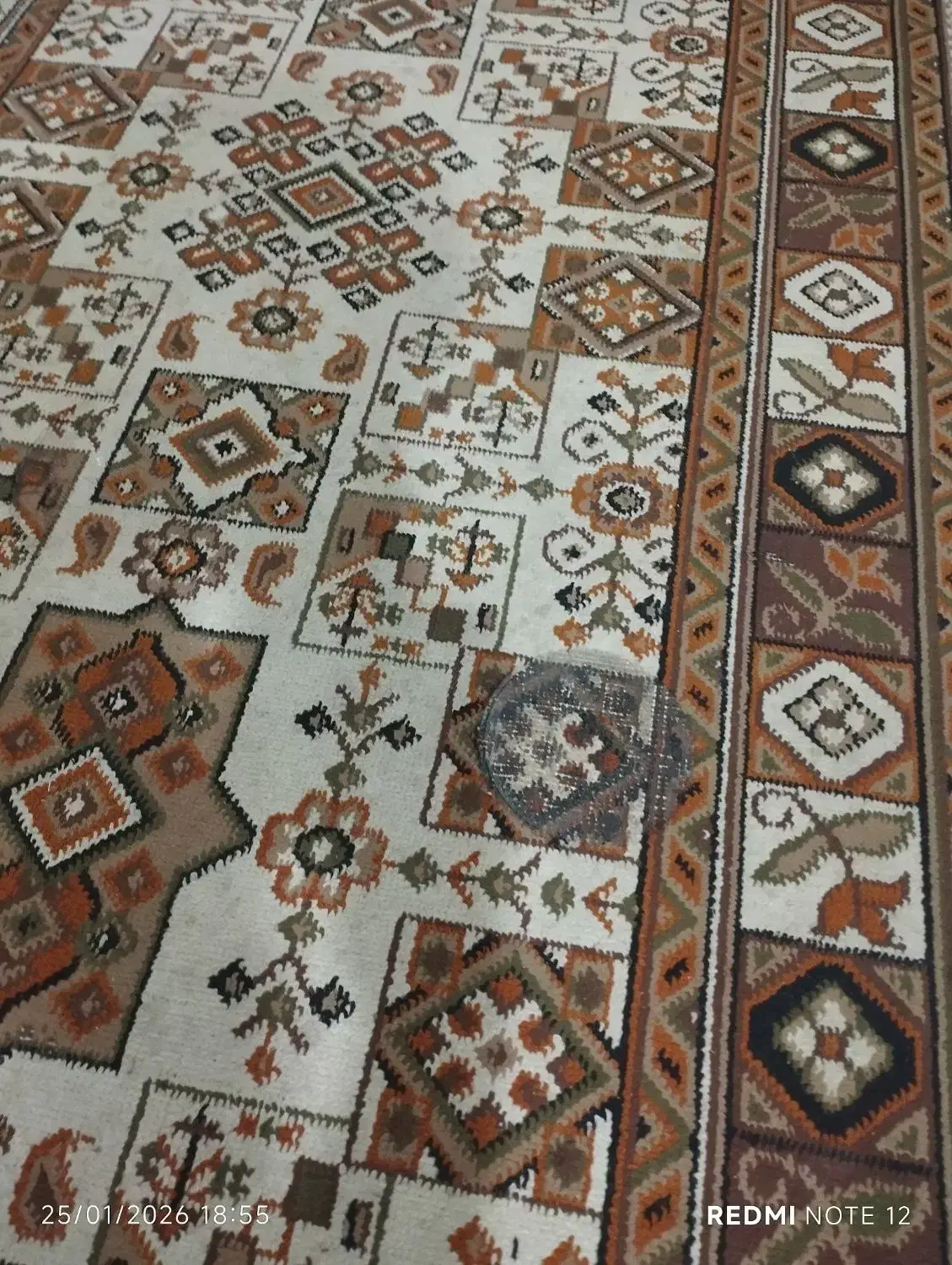 فرش اشپزخانه|فرش|گلبهار, شهر جدید گلبهار|دیوار