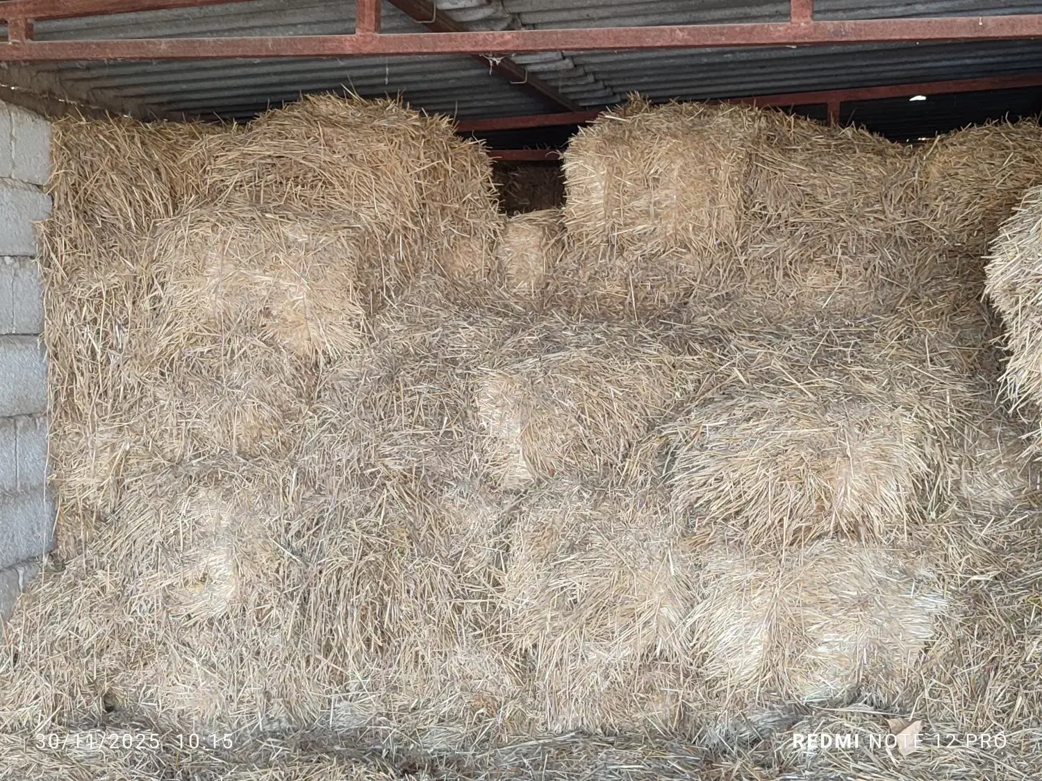 کاه|لوازم جانبی حیوانات|گنبد کاووس, |دیوار