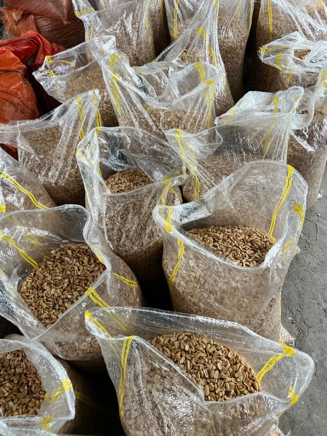 بادام|خوردنی و آشامیدنی|پارس‌آباد, |دیوار