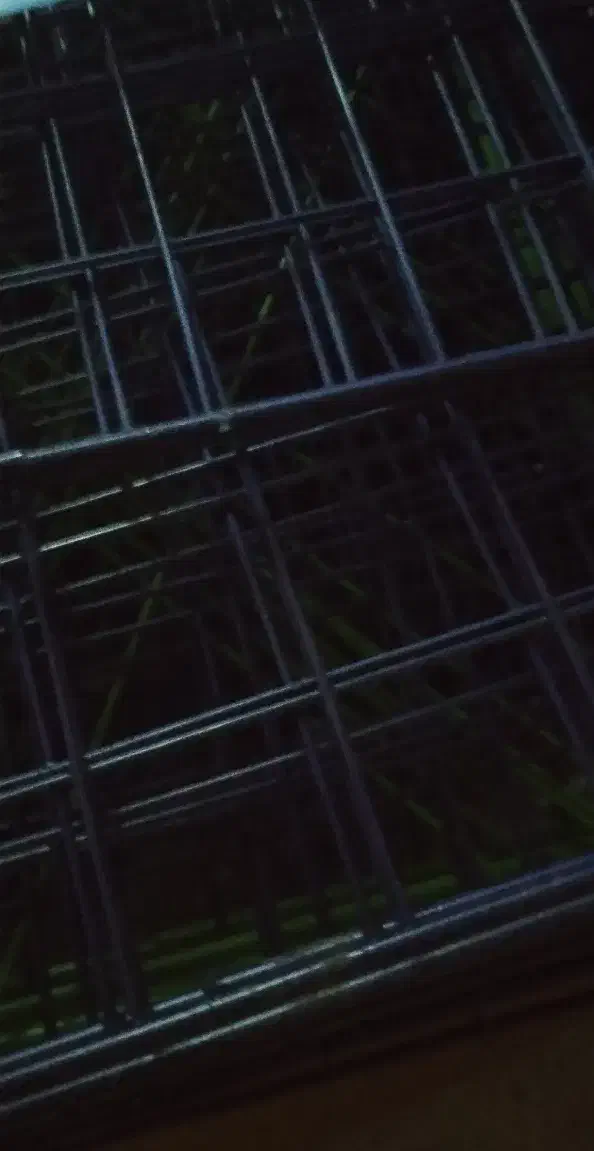 قفسه فلزی|کتابخانه، شلف، قفسه‌های دیواری|کرمان, |دیوار