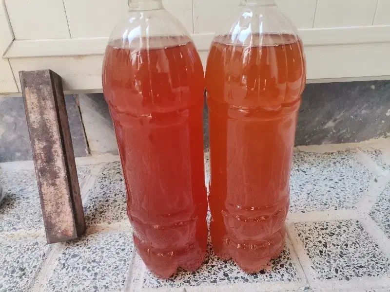 فروش آبغوره ی تازه|خوردنی و آشامیدنی|تهران, فلسطین (میدان انقلاب)|دیوار