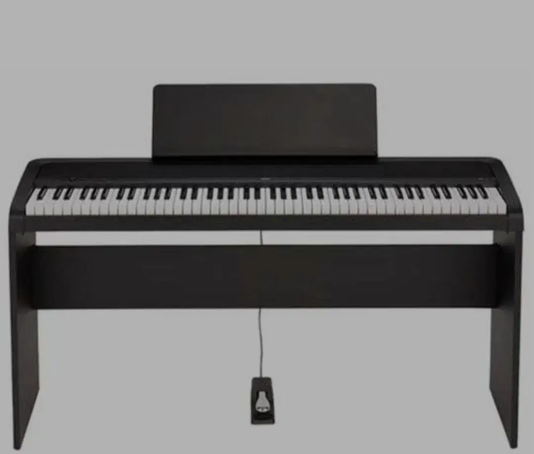 KORG B2|پیانو، کیبورد، آکاردئون|قزوین, |دیوار