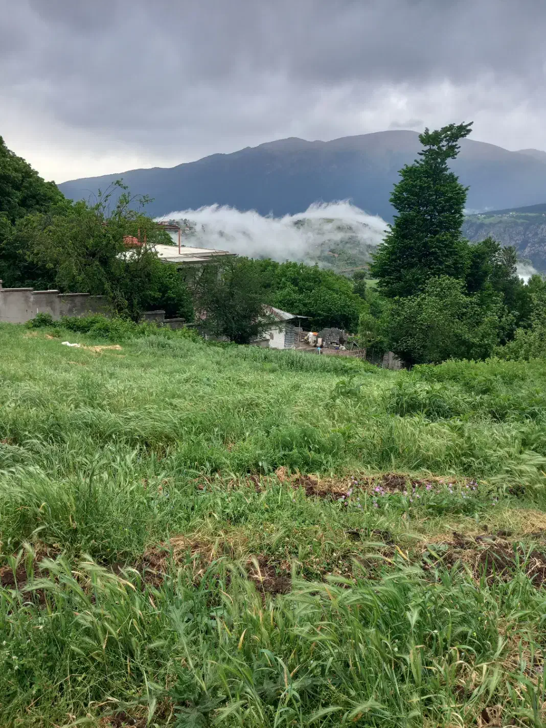 فروش زمین در آمارو شیرکده|فروش زمین و ملک کلنگی|بره‌سر, |دیوار