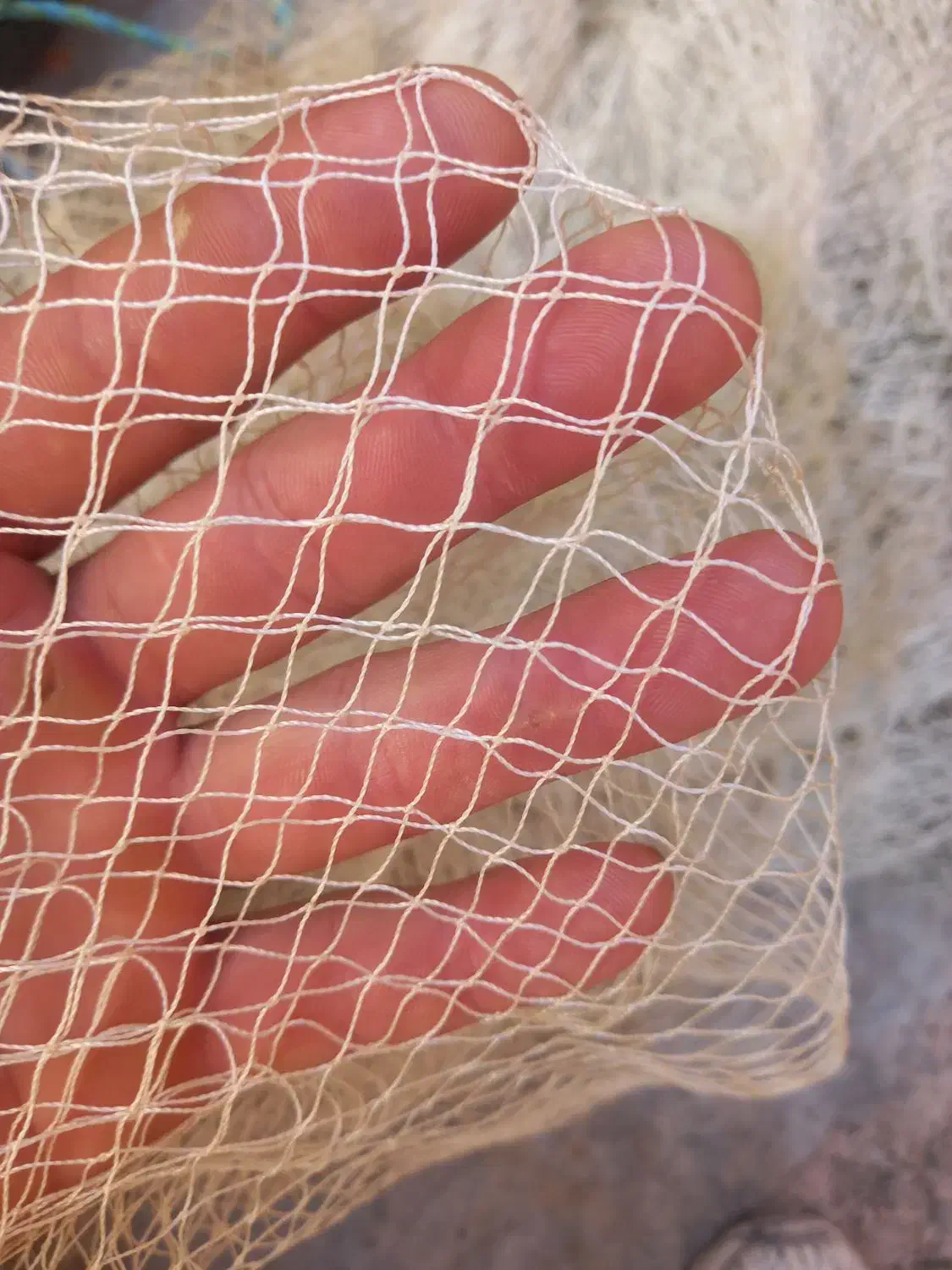 تور ماهی گیری سالیک ۱۸ متری نو|ماهیگیری|اهر, |دیوار