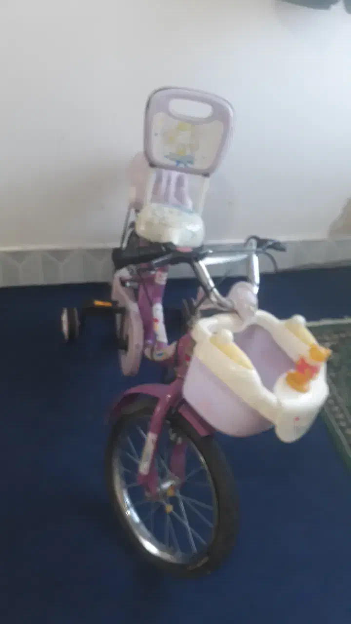 دوچرخه|دوچرخه، اسکیت، اسکوتر|قوچان, |دیوار