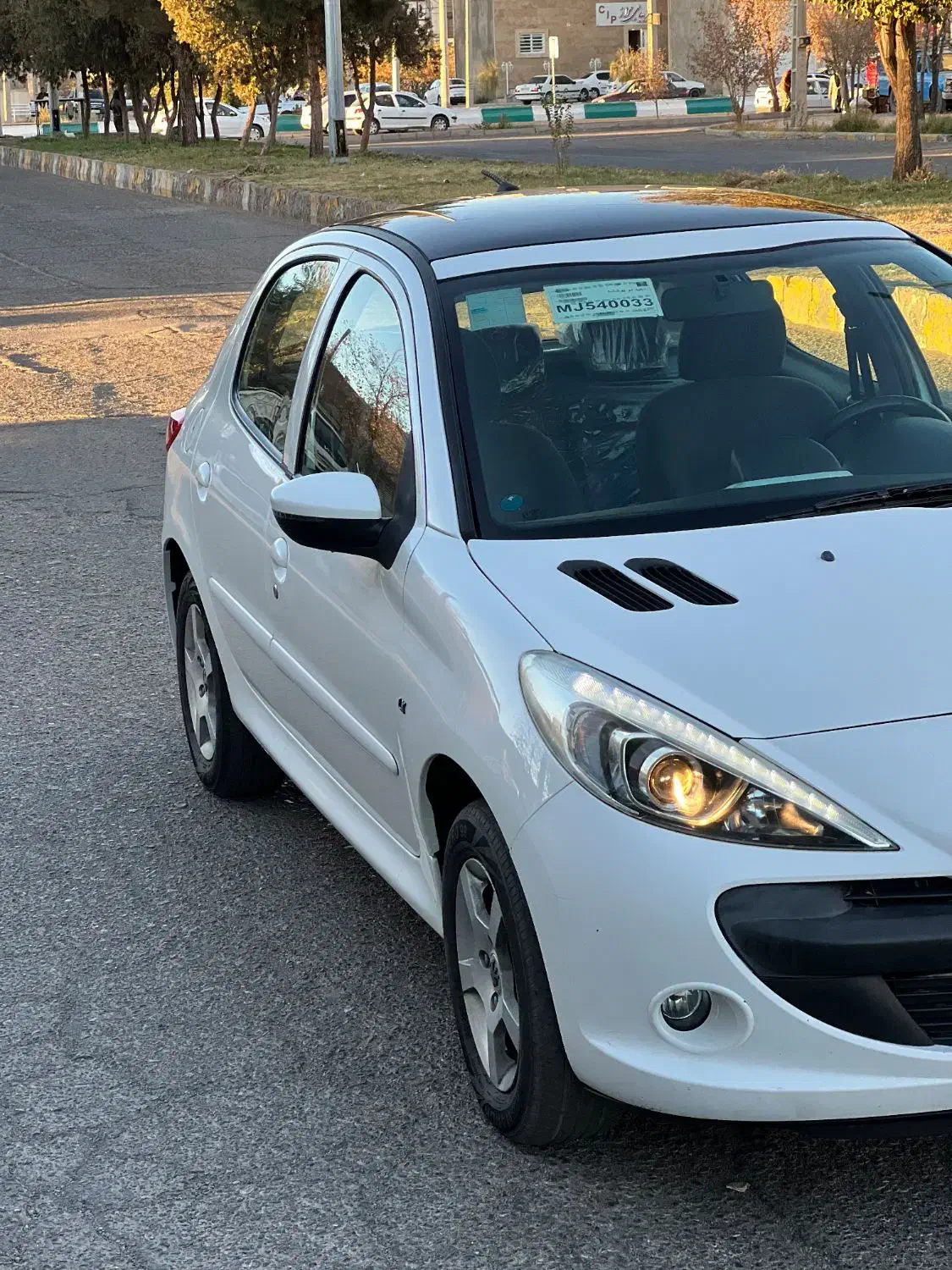 ۲۰۷پانا|خودرو سواری و وانت|سیرجان, |دیوار