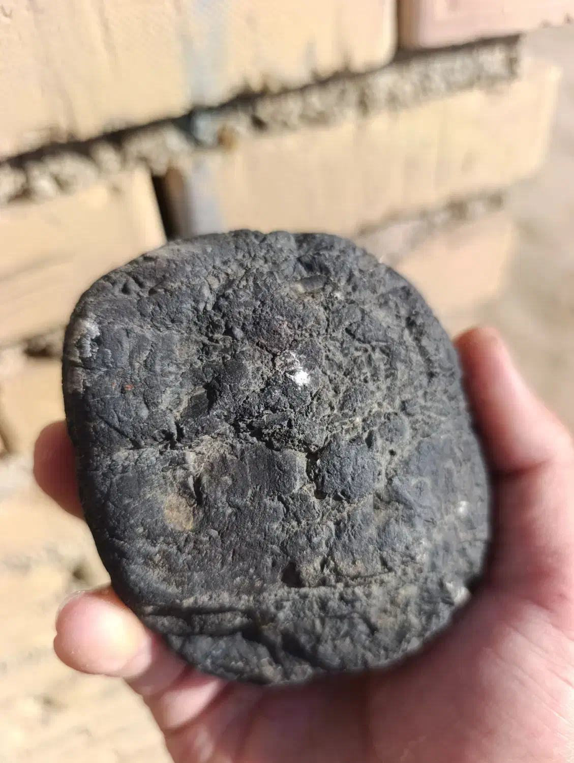 اگر سردرمیارین میشه بگین چه سنگیه|کلکسیون اشیاء عتیقه|گنبد کاووس, |دیوار