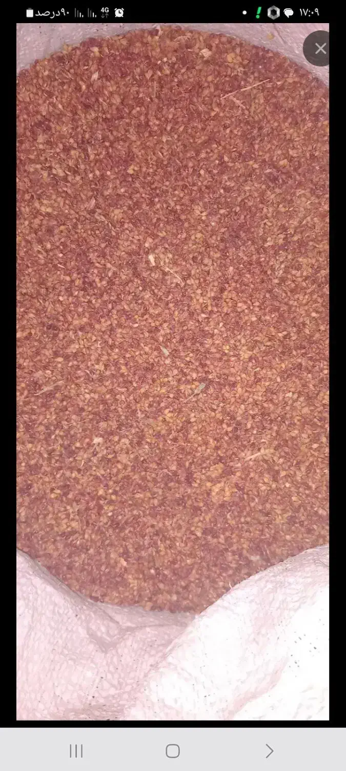 دان جارو|لوازم جانبی حیوانات|میانه, |دیوار