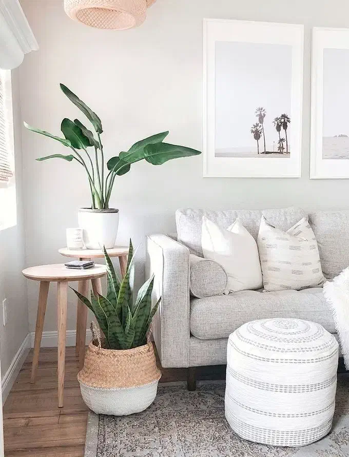 پیش فروش 2واحد آپارتمان 230متری بلوار گیلان،مدرن|پیشفروش املاک|رشت, بلوار گیلان|دیوار