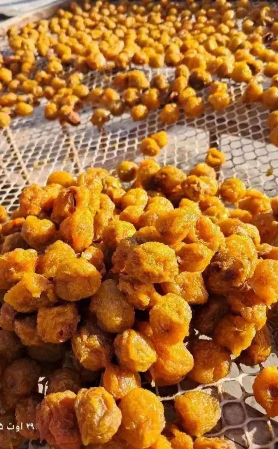 آلو رسمی|خوردنی و آشامیدنی|نیشابور, ریوند|دیوار