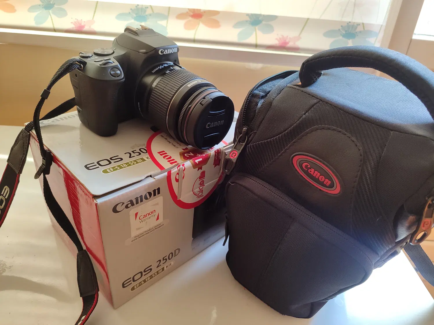 دوربین Canon EOS 250D|دوربین عکاسی و فیلمبرداری|تهران, طرشت|دیوار