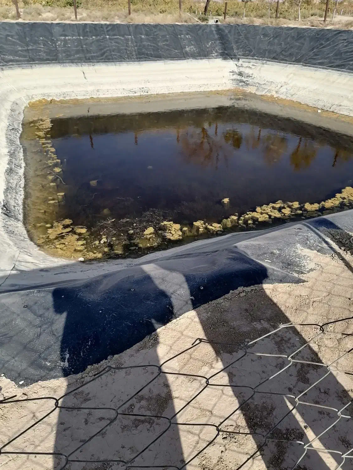 ی قطعه زمین فروشی 800 متری|فروش دفتر صنعتی، کشاورزی، تجاری|شاهرود, |دیوار