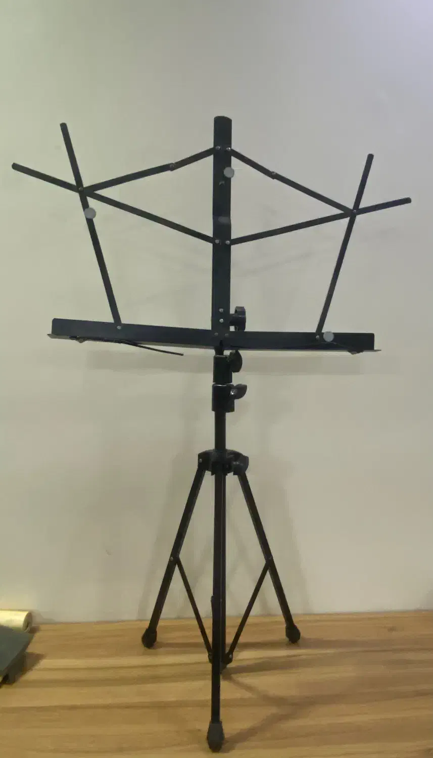 دف سوژین|سازهای سنتی|تهران, گلستان (شهرک راه آهن)|دیوار