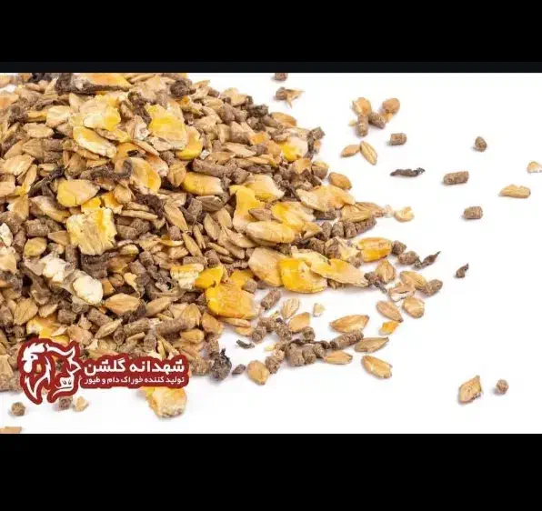 کنسانتره و جو|لوازم جانبی حیوانات|بروجرد, |دیوار