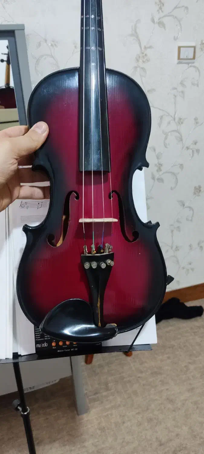 ویولون خوش صدا و زیبا|ویولن|سقز, |دیوار