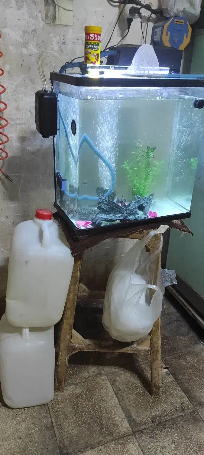 اکواریوم باهمه وصایل|ماهی|قم, کلهری|دیوار