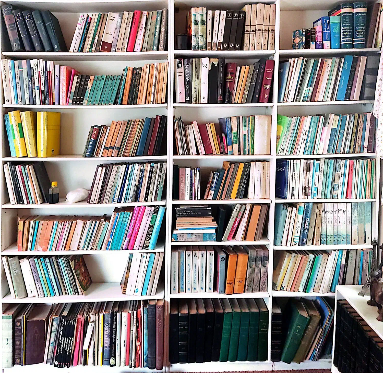 مجلات شکار و طبیعت .|مجلات|شهریار, شهریار|دیوار