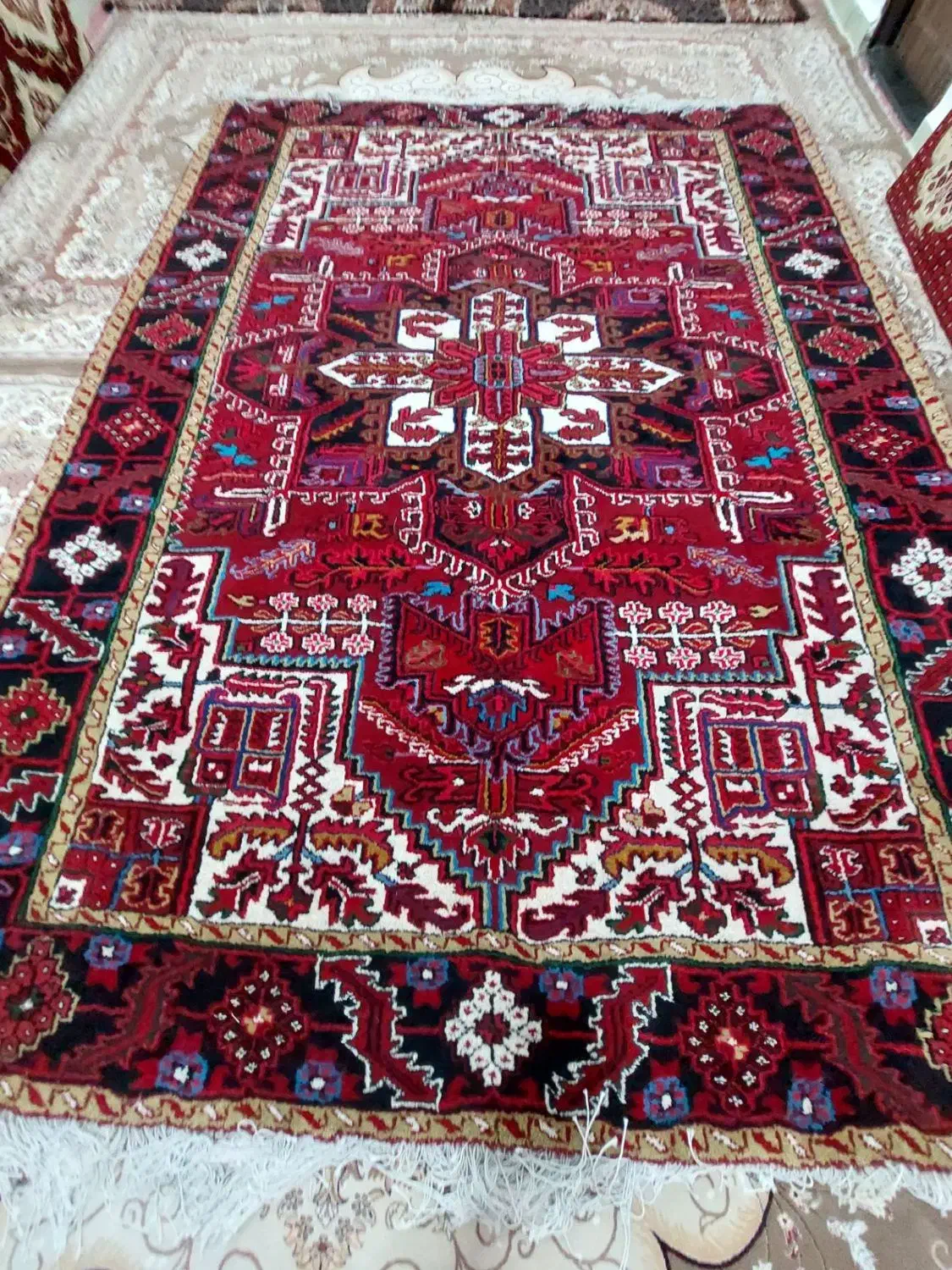 فرش ۹ متری دستبافت هریس|فرش|خواجه, |دیوار