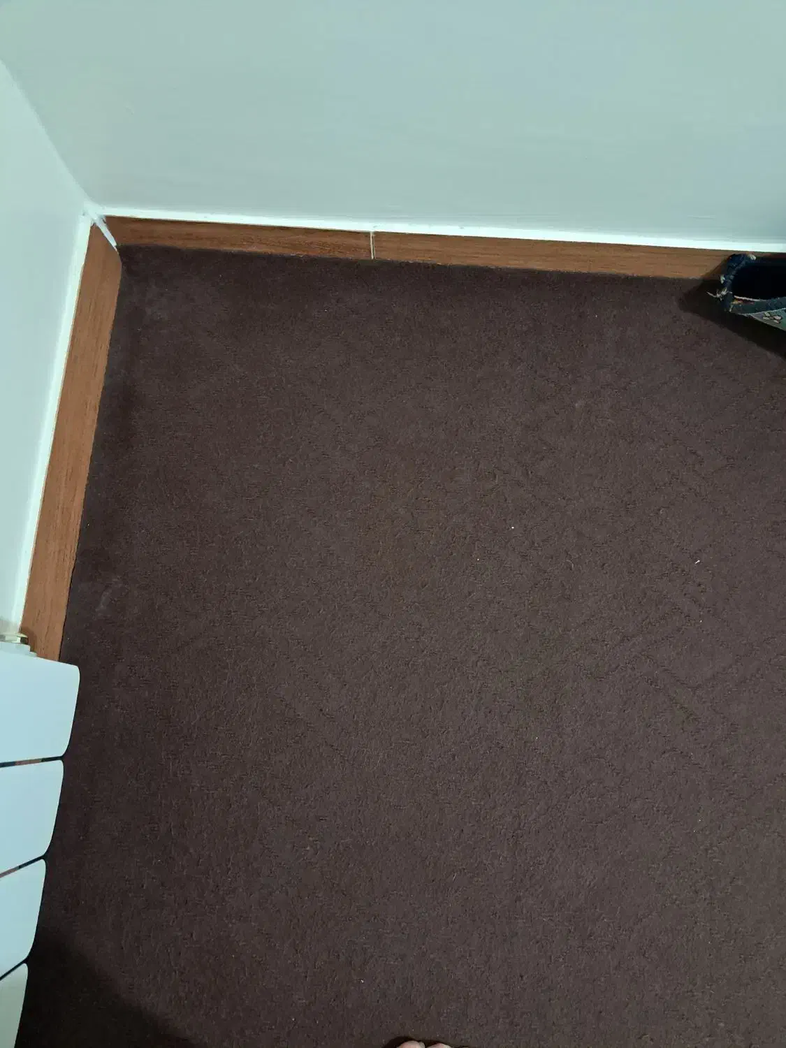 موکت|موکت|کرج, کمال‌شهر|دیوار