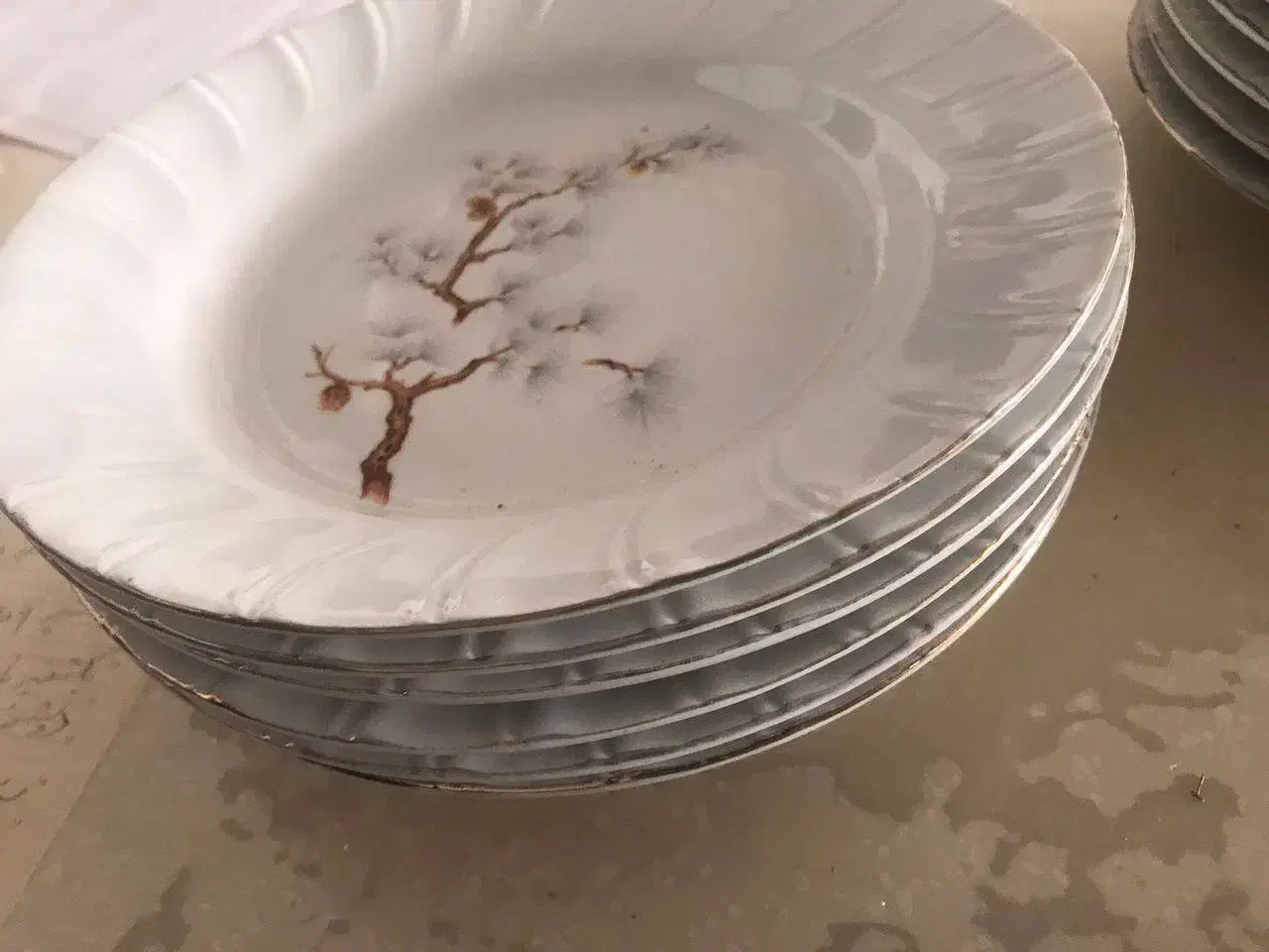 ظروف شیک|ظروف سرو و پذیرایی|کرج, عظیمیه|دیوار