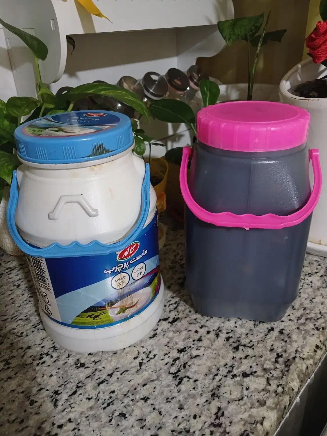 سیر ترشی تردوخوشمزه|خوردنی و آشامیدنی|رشت, نیروی دریایی|دیوار