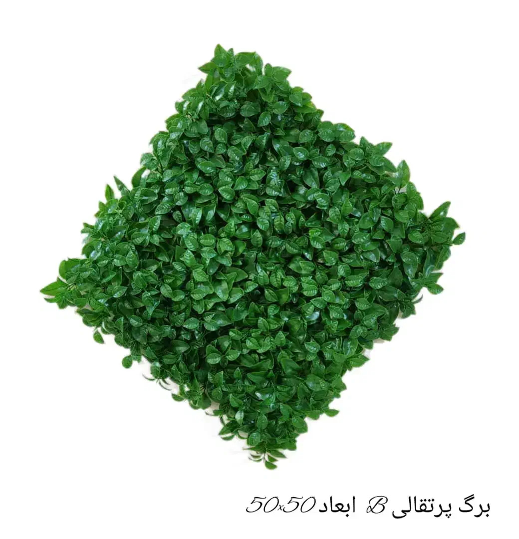 گرینوال پرتقالی|گل و گیاه طبیعی|تهران, یافت آباد شمالی|دیوار