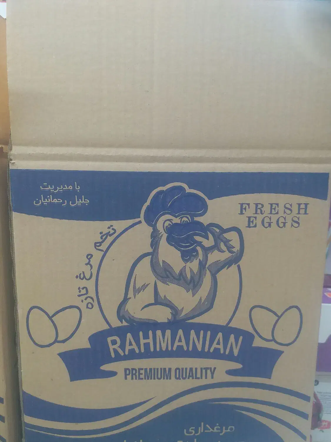 کارتن تخم مرغی|عمدهفروشی|جهرم, |دیوار