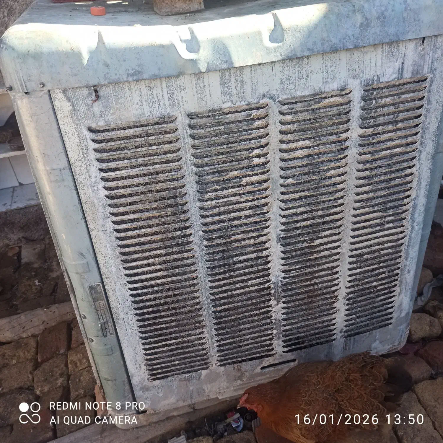 کولر ارج ۵۰۰۰|کولر آبی|فسا, |دیوار