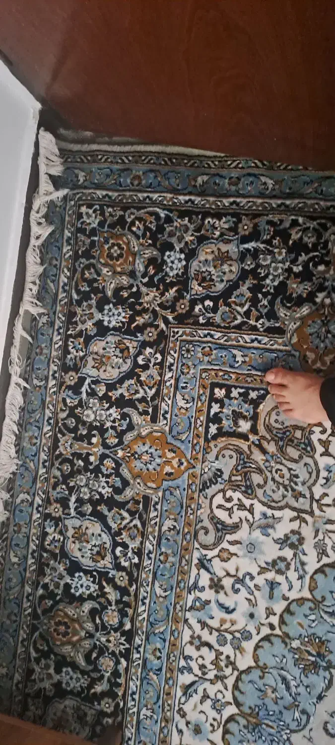 فروش فرش دست دو|فرش|نکا, |دیوار