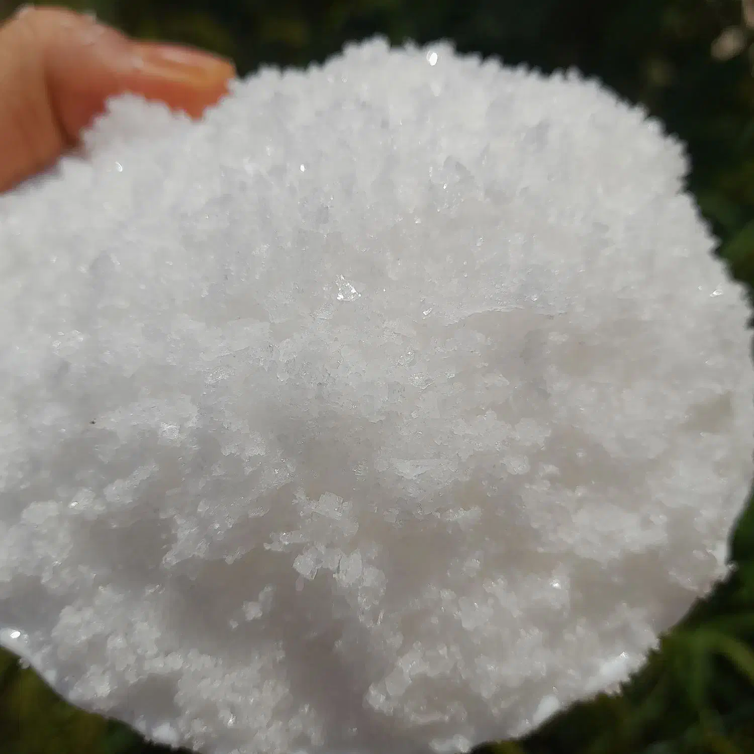 نمک طبیعی کال|خوردنی و آشامیدنی|میبد, |دیوار