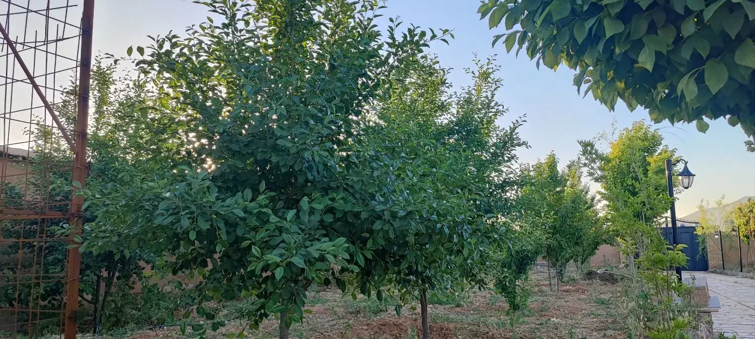 فروش زمین باغشهری در جاده صدرا|فروش زمین و ملک کلنگی|شیراز, باغشهر قصر سبز|دیوار