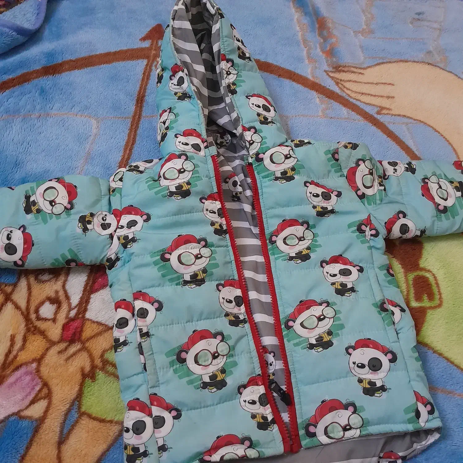 تعدادی وسایل و اسباب بازی بچه|اسباب‌بازی بچه|شیراز, شیمی گیاه|دیوار