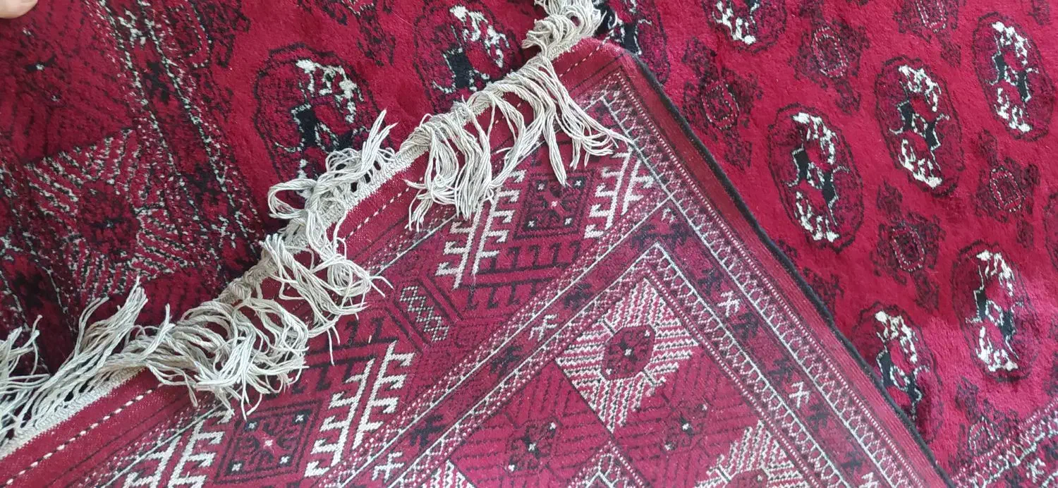 فرش دستباف|فرش|گنبد کاووس, |دیوار