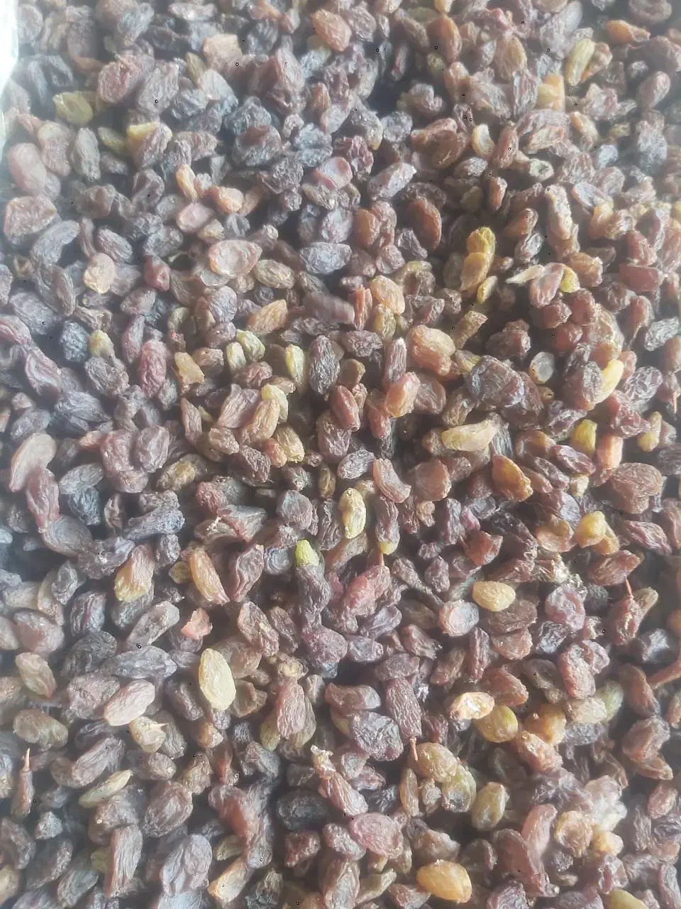 کشمش افتابی سایه خشک مویز شیراز شیره انگور شیرخرما|خوردنی و آشامیدنی|تهران, میدان میوه و ترهبار مرکزی|دیوار