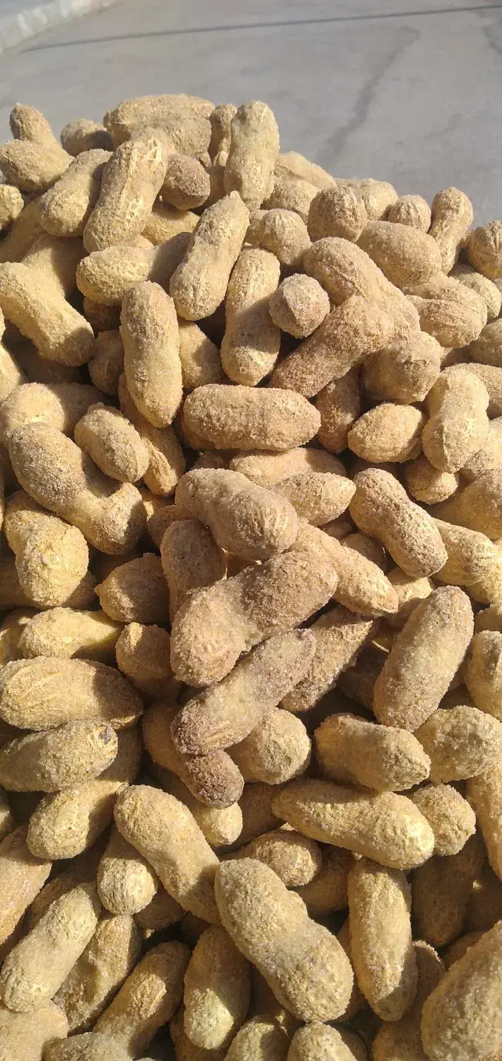 بادام زمینی با پوست(حراج)|عمده‌فروشی|بندر ماهشهر, |دیوار