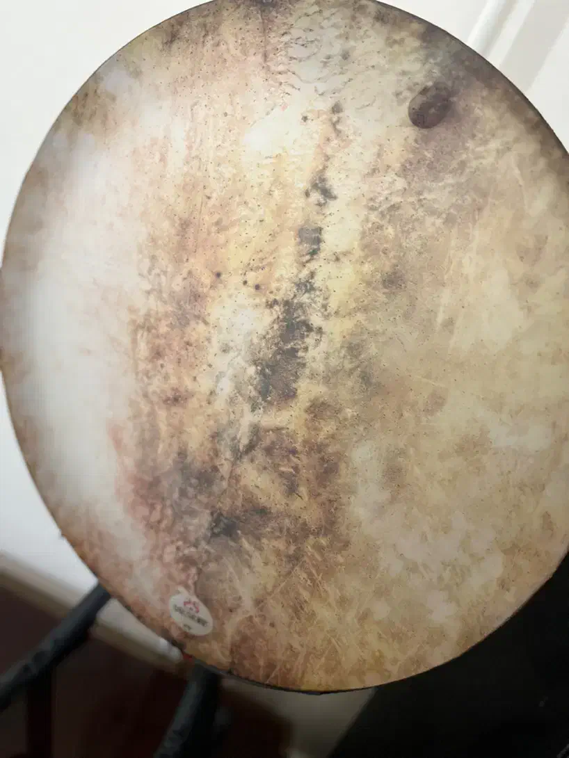 فروش دف دربندی و حبیبی|سازهای سنتی|بابل, |دیوار