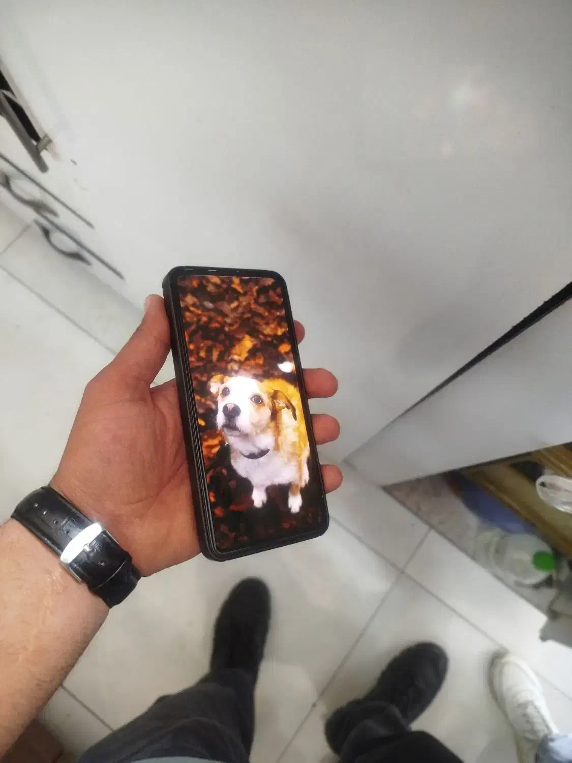 ردمی نوت14|موبایل|شیراز, انجیر|دیوار