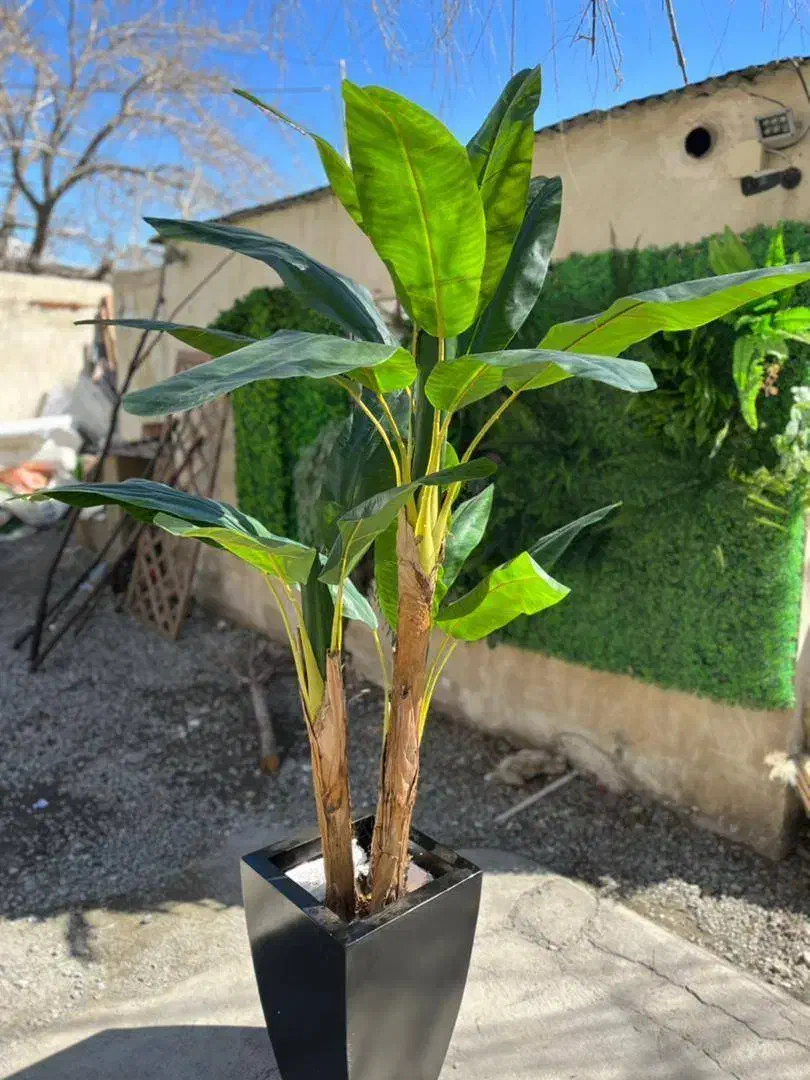 درخت مصنوعی و درختچه گل مصنوعی|گل مصنوعی|کازرون, |دیوار