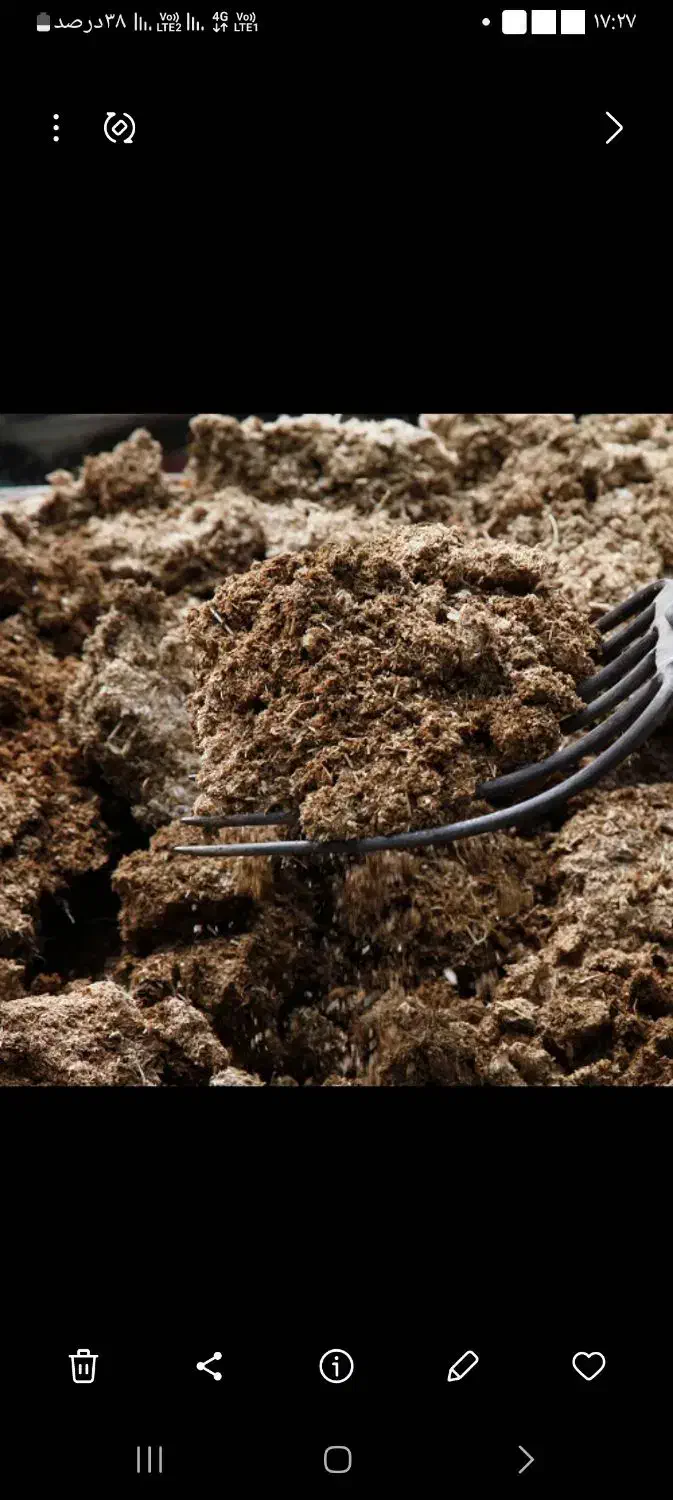 عرضه مستقیم کود حیوانی (گاوی ، گوسفندی ، مرغی)|خدمات باغبانی و درختکاری|مهدی شهر, |دیوار