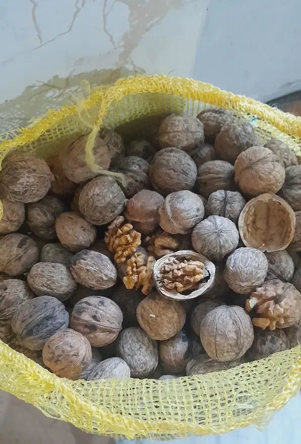 گردو|خوردنی و آشامیدنی|آشخانه, |دیوار