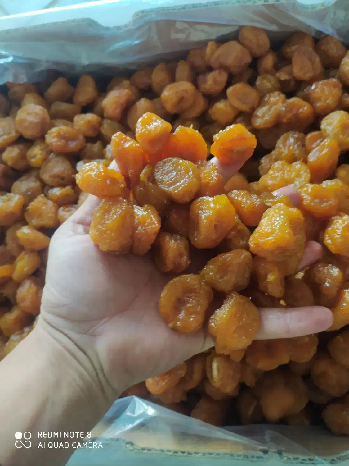 خ آلو|خوردنی و آشامیدنی|نیشابور, بنیاد شهید|دیوار