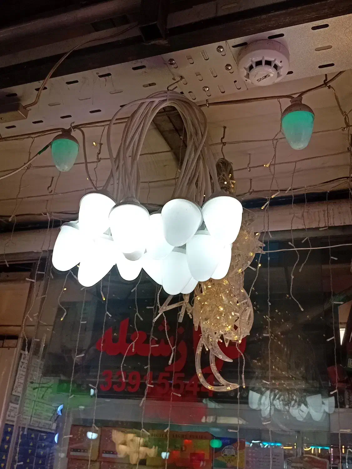 ریسه بلوطی|ریسه و چراغ تزئینی|تهران, لاله زار|دیوار